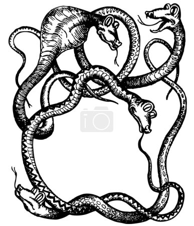 Téléchargez les illustrations : Illustration de serpents noirs sur blanc - en licence libre de droit