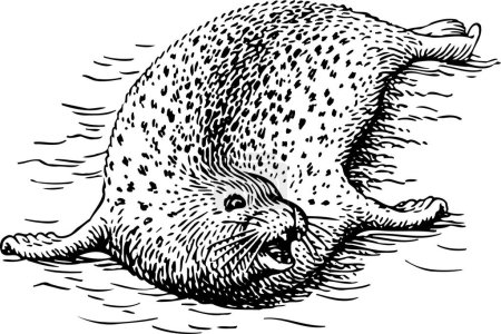 Ilustración de Sello del mar - Imagen libre de derechos