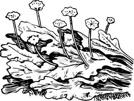 Ilustración de Dibujo de tinta en blanco y negro ilustración de flores florecen - Imagen libre de derechos