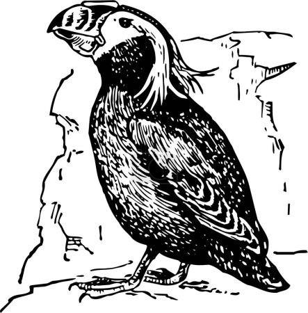 Illustration for Woodcut illustration of black crow - Royalty Free Image