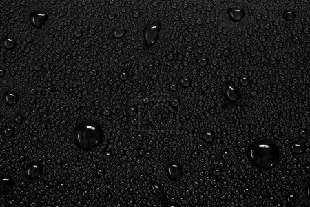 Gotas de agua sobre fondo negro.
