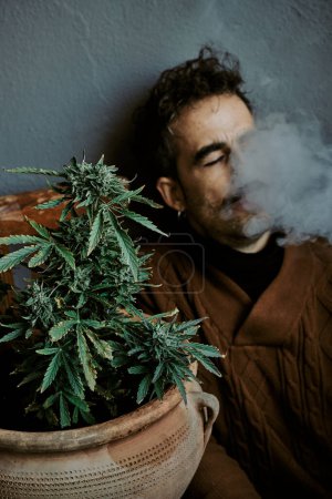Foto de Un joven de cabello castaño fumando, oliendo, tocando y reavivándose junto a su planta de marihuana. Concepto de cannabis. - Imagen libre de derechos