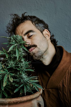 Téléchargez les photos : Un jeune homme aux cheveux bruns jouissant, sentant, touchant et se soulageant à côté de sa plante de marijuana. Concept de cannabis. - en image libre de droit
