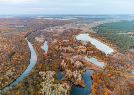 Autumn aerial high view on river with colorful forest. Autumnal Siverskyi Donets River in Ukraine