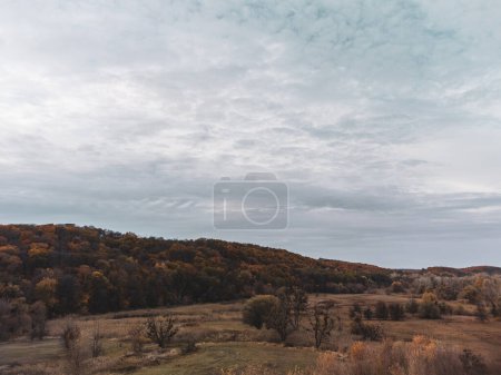 Aerial view on autumn rural scenery in Ukraine with cloudy grey sky and forest