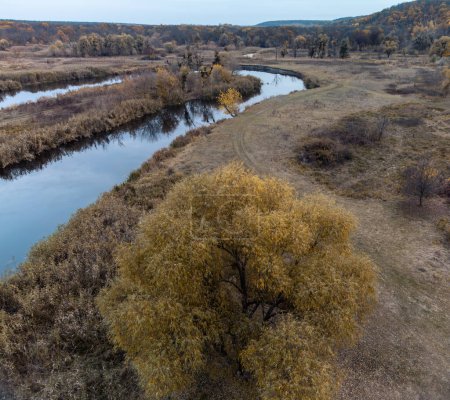 Aerial trees on Siverskyi Donets river shore with autumn forest in Ukraine