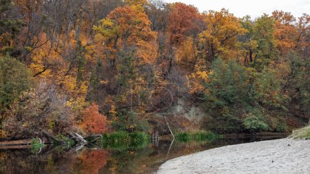 Autumnal vibrant trees on sandy river shore with calm water