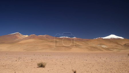 Photo for The beautiful colors of the Puna Argentina. High quality photo - Royalty Free Image
