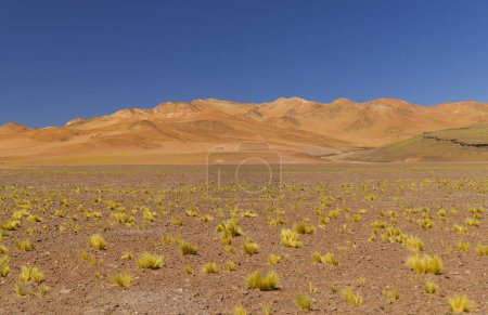 Foto de The beautiful colors of the Puna, Argentina. High quality photo - Imagen libre de derechos