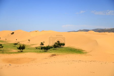 Foto de Las hermosas dunas del desierto de Elsen Tasarkhai, Mongolia. Foto de alta calidad - Imagen libre de derechos