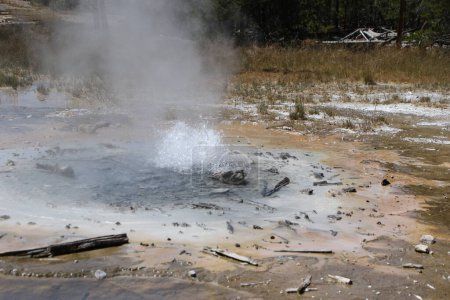 Téléchargez les photos : Piscine chaude dans le parc national Yellowstone. Photo de haute qualité - en image libre de droit