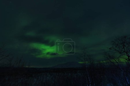 Photo for Image of the Northern Lights in Abisko, Sweden. High quality photo - Royalty Free Image