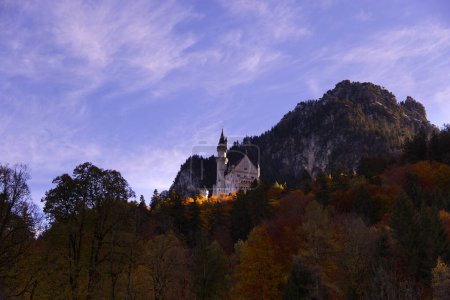 Téléchargez les photos : Château de Neuschwanstein en Bavière, Allemagne. Photo de haute qualité - en image libre de droit