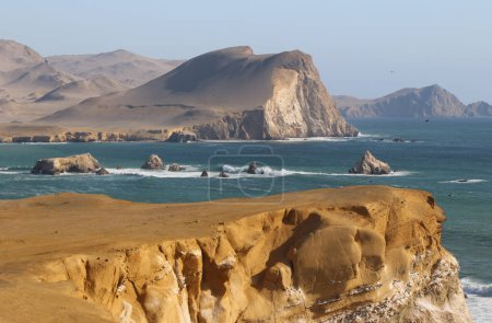Photo for The Paracas Reserve in Peru. High quality photo - Royalty Free Image