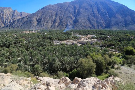 Nakhal oasis Al Hajar Hadschar montañas paisaje con palmeras, Omán. Foto de alta calidad