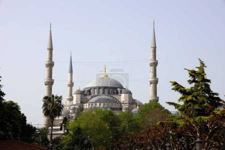 Blick auf die Blaue Moschee in Istanbul. Hochwertiges Foto