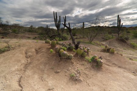 Téléchargez les photos : Vue sur le désert colombien de Tatacoa. Photo de haute qualité - en image libre de droit