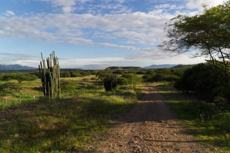 Vista del desierto colombiano de Tatacoa. Foto de alta calidad