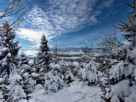 Magnificent winter landscape in the Bernese Alps, Snow forest beauty
