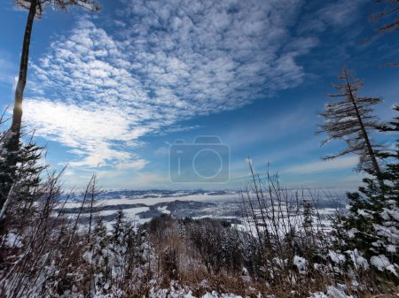 Magnifique paysage d'hiver dans les Alpes bernoises, beauté de la forêt de neige
