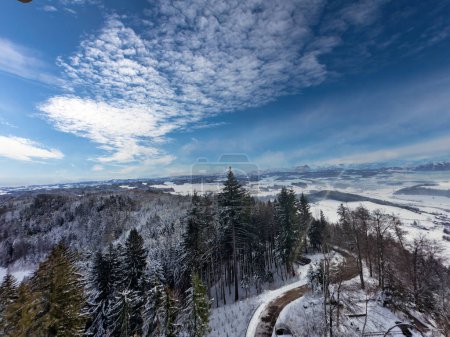 Magnificent winter landscape in the Bernese Alps, Snow forest beauty