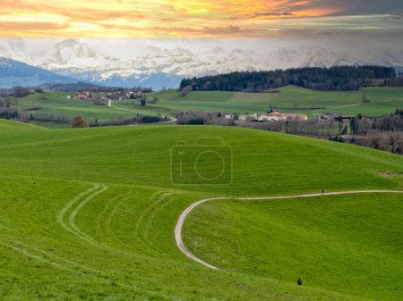 Superbe coucher de soleil sur un paysage suisse luxuriant, avec un sentier sinueux à travers des champs verts animés menant vers les majestueuses Alpes enneigées, sous un ciel dramatique peint avec des teintes d'orange et de bleu