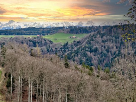 Impresionante puesta de sol sobre un exuberante paisaje suizo, con un sinuoso camino a través de campos verdes vibrantes que conducen a los majestuosos Alpes nevados, bajo un cielo dramático pintado con tonos de naranja y azul