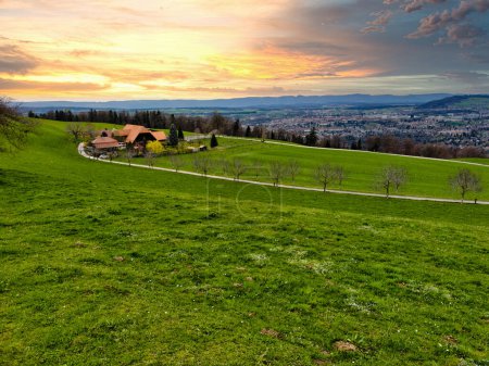Stunning sunset over a lush Swiss landscape, featuring a winding path through vibrant green fields leading towards the majestic snow-capped Alps, under a dramatic sky painted with hues of orange and blue