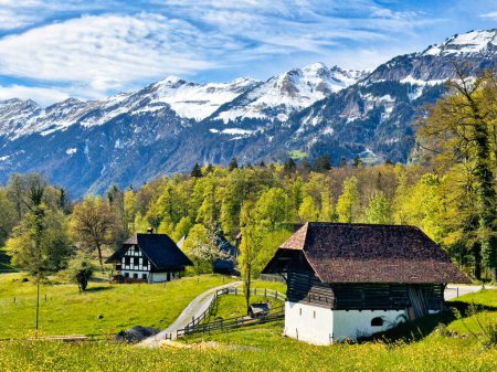 Idyllic rural landscape in the Swiss Alps, featuring traditional houses, lush green meadows dotted with wildflowers, and majestic snow-capped mountains under a clear blue sky