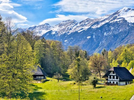 Idyllische ländliche Landschaft in den Schweizer Alpen mit traditionellen Häusern, saftig grünen Wiesen mit Wildblumen und majestätischen schneebedeckten Bergen unter klarem blauen Himmel