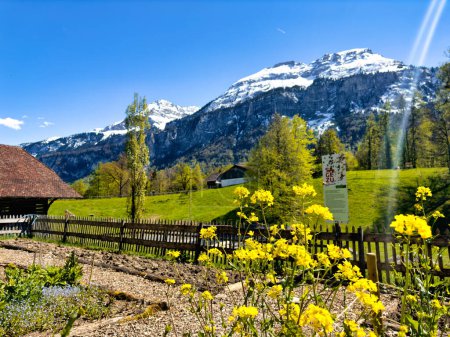 Scenic view of traditional Swiss wooden houses with a backdrop of snowy mountains under a clear blue sky