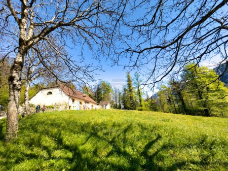 Idyllische Frühlingslandschaft in der Schweiz mit einer saftig grünen Wiese mit Wildblumen, einem traditionellen Schweizer Ferienhaus und einer Kulisse aus dichten Wäldern und weit entfernten Bergen