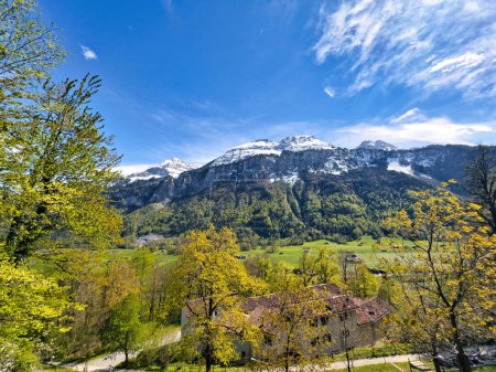 Atemberaubender Blick auf eine lebendige Frühlingslandschaft in den Schweizer Alpen mit saftig grünen Wiesen, blühenden gelben Bäumen, einem urigen Bauernhaus und majestätischen schneebedeckten Bergen unter klarem blauen Himmel