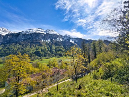 Breathtaking view of a vibrant spring landscape in the Swiss Alps, featuring lush green meadows, blooming yellow trees, a quaint farmhouse, and majestic snow-capped mountains under a clear blue sky