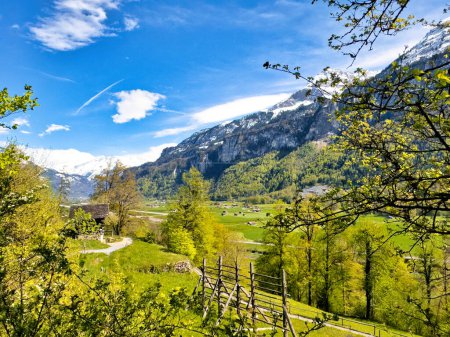 Breathtaking view of a vibrant spring landscape in the Swiss Alps, featuring lush green meadows, blooming yellow trees, a quaint farmhouse, and majestic snow-capped mountains under a clear blue sky