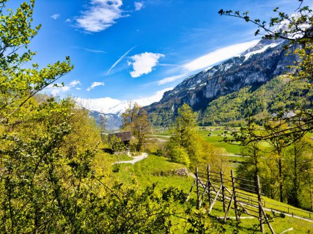 Atemberaubender Blick auf eine lebendige Frühlingslandschaft in den Schweizer Alpen mit saftig grünen Wiesen, blühenden gelben Bäumen, einem urigen Bauernhaus und majestätischen schneebedeckten Bergen unter klarem blauen Himmel