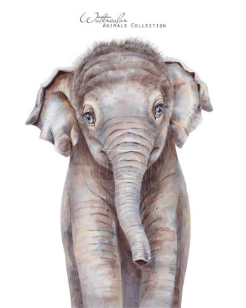Photo for Elephant baby. Watercolor elephant calf. African animals illustration - Royalty Free Image