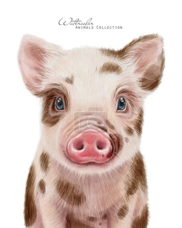 Piggy baby. Watercolor spotted pig. Farm animals illustration