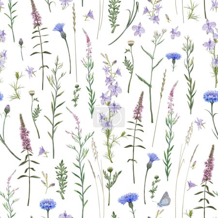 Meadow flowers and herbs seamless pattern. Common blue butterflies and meadow cornflowers, Consolida regalis, Chamerion angustifolium.