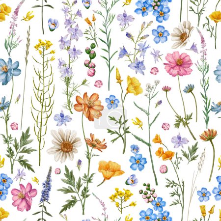 Photo for Meadow flowers and herbs  seamless pattern. Meadow cornflowers, Consolida regalis, Chamerion angustifolium, Cosmos flower. - Royalty Free Image