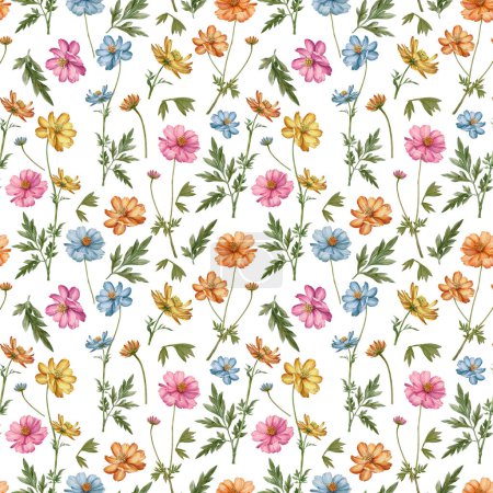 Meadow flowers and herbs  seamless pattern. Meadow Cosmos flower. Blue, pink, yellow floral background