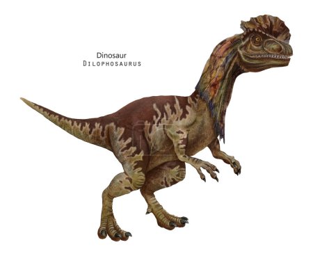 Illustration zu Dilophosaurus. Dinosaurier mit Wappen auf dem Kopf. Brauner Dino