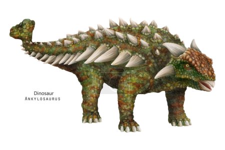 Ankylosaurus illustration. Dinosaur with spikes, horns. Green dino