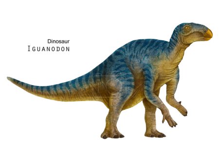 Foto de Ilustración de Iguanodon. dinosaurio herbívoro. Arte de dino azul, amarillo - Imagen libre de derechos
