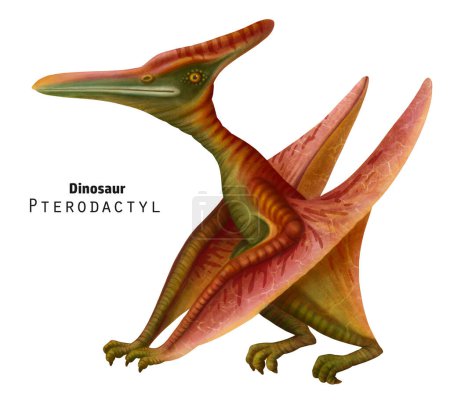 Pterodactyl-Illustration. Sitzender Dinosaurier mit gefalteten Flügeln. Roter Dino