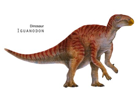 Foto de Ilustración de Iguanodon. dinosaurio herbívoro. Arte rojo del dino - Imagen libre de derechos