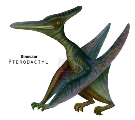 pterodáctilo ilustración. Dinosaurio sentado con sus alas dobladas. Dino verde