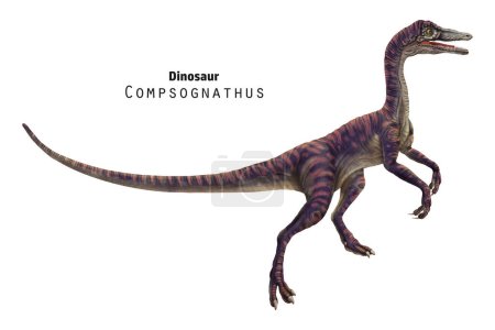 Foto de Ilustración Compsognathus. Pequeño dinosaurio rayado marrón y beige. - Imagen libre de derechos