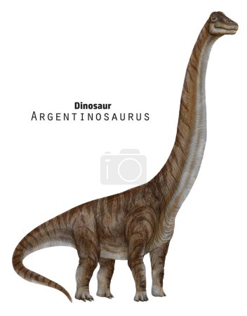Argentinosaurus illustration. Dinosaur very long neck. Beige striped giant dino