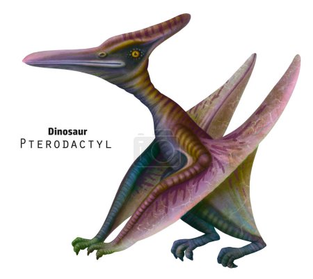 pterodactyl illustration. Sitting dinosaur with its wings folded. Violet, green dino